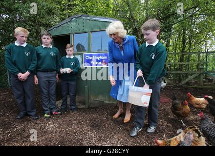 La duchessa di Cornovaglia incontra gli studenti durante una visita alla Ballyraine Scuola nazionale a Letterkenny, Co Donegal. Foto Stock