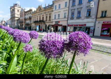 Centro città zona pedonale, Hlavna street, Kosice, Slovacchia, Europa Foto Stock