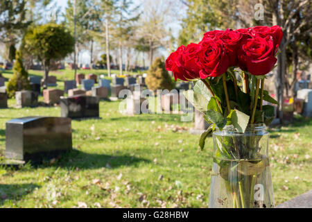 Bouquet di rose rosse in un vaso in un cimitero con un fading effetto rétro Foto Stock