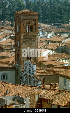 La torre di San Pietro Somaldi a Lucca (Toscana) Foto Stock