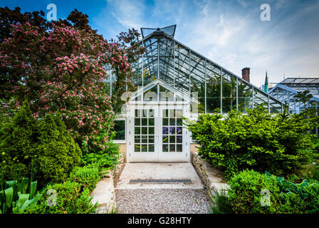 I giardini e la Casa delle Palme a Allan Gardens, nel Quartiere Garden, Toronto, Ontario. Foto Stock