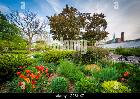 Il Allan Gardens, nel Quartiere Garden, Toronto, Ontario. Foto Stock