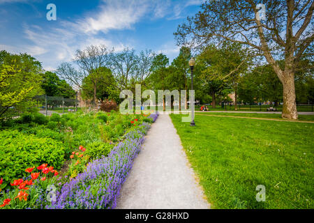 La passerella e giardini al Allan Gardens, nel Quartiere Garden, Toronto, Ontario. Foto Stock