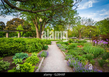 La passerella e giardini al Allan Gardens, nel Quartiere Garden, Toronto, Ontario. Foto Stock