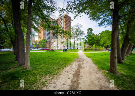 La passerella e alberi, presso i Giardini di Allan, nel Quartiere Garden, Toronto, Ontario. Foto Stock