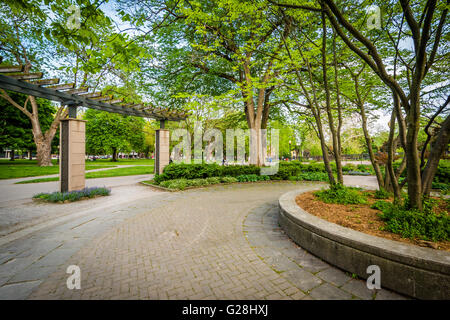 La passerella e alberi, presso i Giardini di Allan, nel Quartiere Garden, Toronto, Ontario. Foto Stock