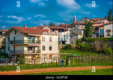 La Slovenia Costa e Kras - Carso Slovenia - Strada del Vino - Dutovlje funziona Foto Stock