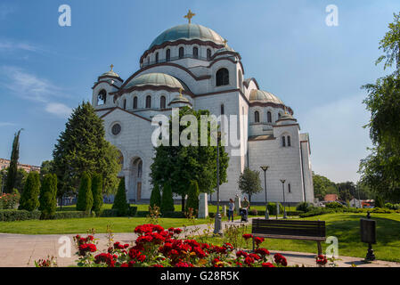 Chiesa di San Sava a Belgrado in Serbia Foto Stock