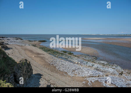 St Illtyds, Oxwich, Gower Peninsular Foto Stock