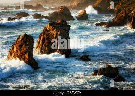 Luce della Sera La bellezza sulle onde del mare e pile a Garrapata State Park lungo la California's Big Sur Costa. Foto Stock