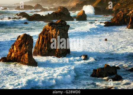 Luce della Sera La bellezza sulle onde del mare e pile a Garrapata State Park lungo la California's Big Sur Costa. Foto Stock