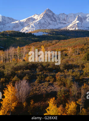 Stati Uniti d'America, Colorado, Uncompahgre National Forest, Sunrise luce sulla neve picchi rivestito della gamma Sneffels e colorato di caduta di Aspen. Foto Stock