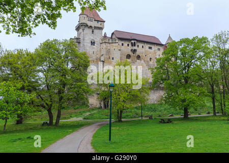 Castello di Lichtenstein è situato vicino a Maria Enzersdorf a sud di Vienna.Austria Foto Stock