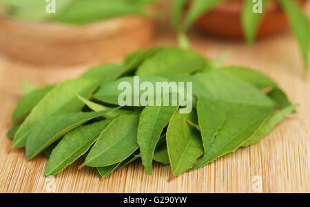 Foglie di curry su una superficie di legno Foto Stock