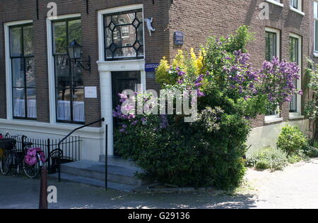 Vecchia Amsterdam canal house con fiori di primavera. Angolo di Leidsegracht e canale Prinsengracht, centro di Amsterdam, Paesi Bassi Foto Stock