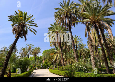 Villa Bonanno giardino in Piazza della Vittoria, Palermo, Sicilia, Italia Foto Stock