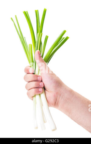 Mano che tiene un fascio di verde cipolline su sfondo bianco Foto Stock