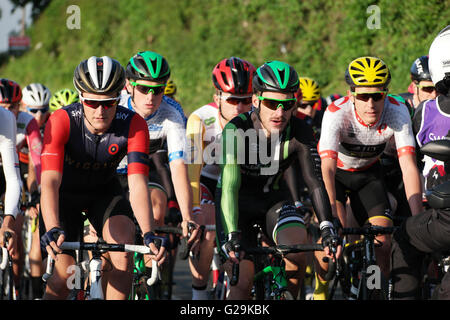 Redditch, Regno Unito 26 maggio 2016. Pearl Izumi ciclo Tour serie 4 e matrice Grand Prix Ladies gara Credito: Terry Mason / Alamy Live News Foto Stock