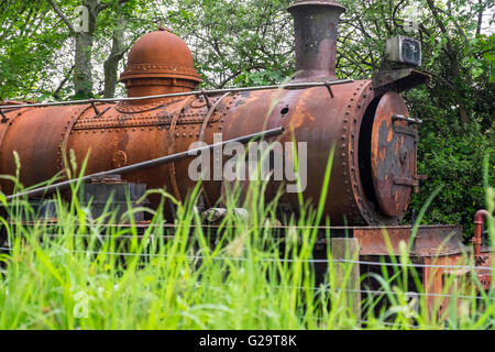 Un arrugginimento locomotiva a vapore sul Welsh Highland Railway, il Galles del Nord Foto Stock