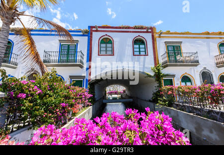 Bella viola fiori di bouganville ornano la facciata di una casa in Puerto de Mogan in gran canaria Foto Stock