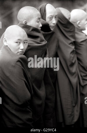 Femmina monaci tibetani stand in linea per essere benedetta dal Dalai Lama davanti a casa sua in Mcleod Ganj, India. Foto Stock