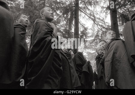 Monaci Tibetani stand in linea per essere benedetta dal Dalai Lama davanti a casa sua in Mcleod Ganj, India. Foto Stock