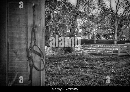 Ottone, pelle e tessuto cavallo pende del cavo sul gancio del muro del granaio con un recinto, muro di pietra e bianco casa colonnato a distanza Foto Stock