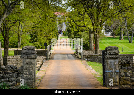 Il vialetto di accesso, circondato da alberi con pareti in pietra, conduce alla residenza greca di Revival presso la Belle Meade Plantation vicino a Nashville, TN, USA Foto Stock