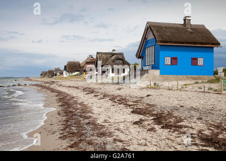 Le case con i tetti di paglia sulla costa, Graswarder penisola, Heiligenhafen, Schleswig-Holstein, Germania Foto Stock