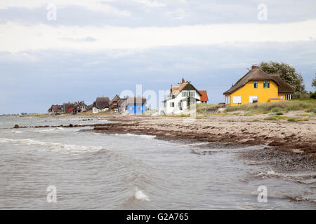 Cottage con tetti di paglia sulla costa, Graswarder penisola, Heiligenhafen, Schleswig-Holstein, Germania Foto Stock