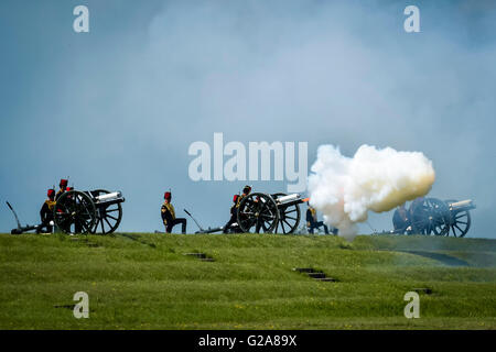 Una pistola 21 salute è sparato nel corso di una revisione della Royal Artillery sul loro terzo centenario a RHQ artiglieria, Royal Artillery Barracks, Salisbury, Wiltshire. Foto Stock