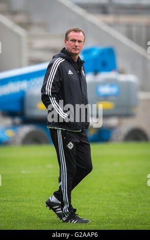 Irlanda del Nord Manger Michael O'Neill durante una sessione di formazione a Windsor Park di Belfast. Foto Stock