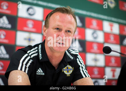 Irlanda del Nord manger Michael O'Neill nel corso di una conferenza stampa al Windsor Park di Belfast. Foto Stock