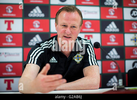 Irlanda del Nord manger Michael O'Neill nel corso di una conferenza stampa al Windsor Park di Belfast. Foto Stock