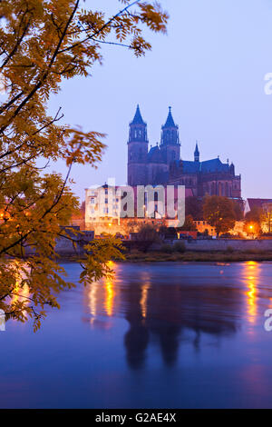 Cattedrale di Magdeburgo Magdeburgo, Bassa Sassonia, Germania Foto Stock
