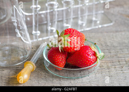 Allergia alimentare e la ricerca in laboratorio closeup Foto Stock