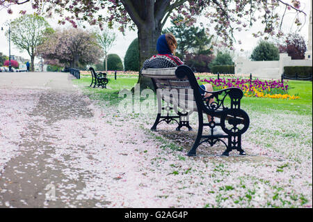 Una giovane donna è seduta su una panchina in un parco con fiori di ciliegio sul terreno Foto Stock