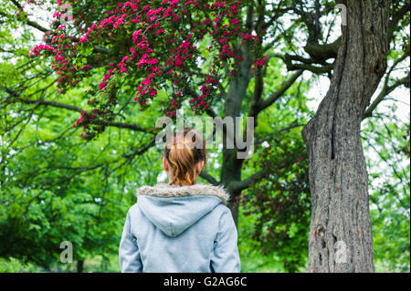 Una giovane donna sta camminando in un parco sotto un albero in fiore Foto Stock