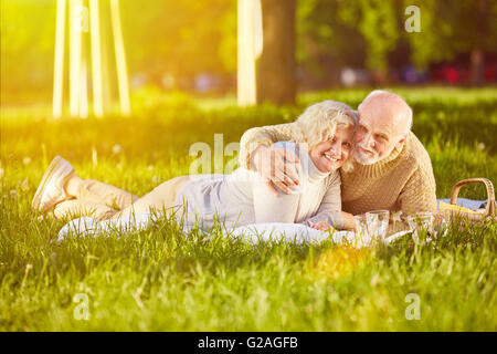 Felice coppia senior posa su una coperta su un prato in estate Foto Stock