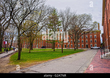 Cambridge, Stati Uniti d'America - 29 Aprile 2015: Hollis Hall e Stoughton Hall a Harvard Yard dell'Università di Harvard, Massachusetts, MA. Foto Stock