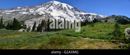 Paradise Point vista panorama in Mt Rainier National Park,WA,USA Foto Stock