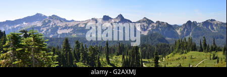 Gamma Tatoosh vista panorama in Mt Rainier National Park Foto Stock