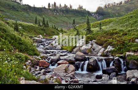 Bellissimo cielo Trail in Mt Rainier 3. WA,USA Foto Stock