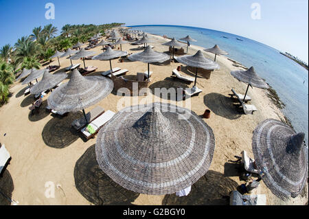 Ombrelloni sulla spiaggia di Marsa Alam, Egitto Foto Stock