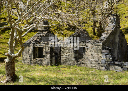 Un isolato di ardesia in disuso cavatore's cottage a Dinorwic cava di ardesia, Snowdonia. Foto Stock