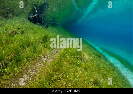 Paesaggio sottomarino, Gruener o vedere il Lago Verde, Tragoess, Stiria, Austria Foto Stock