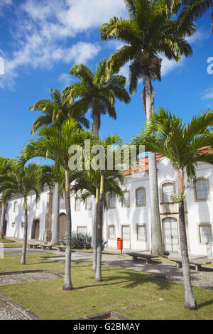 Museo di Storia Nazionale, centro di Rio de Janeiro, Brasile Foto Stock