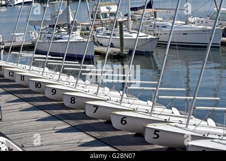 Numerate da barche a vela lungo un dock in Annapolis Harbour area Foto Stock