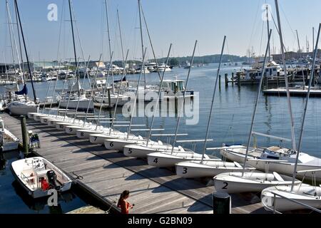 Numerate da barche a vela lungo un dock in Annapolis Harbour area Foto Stock