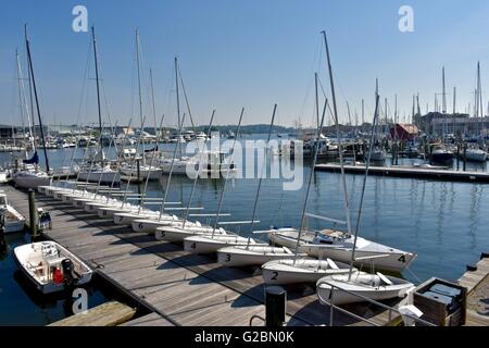 Numerate da barche a vela lungo un dock in Annapolis Harbour area Foto Stock